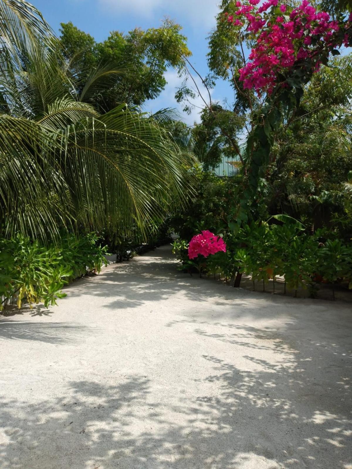 Sunrise Inn Тодду Экстерьер фото