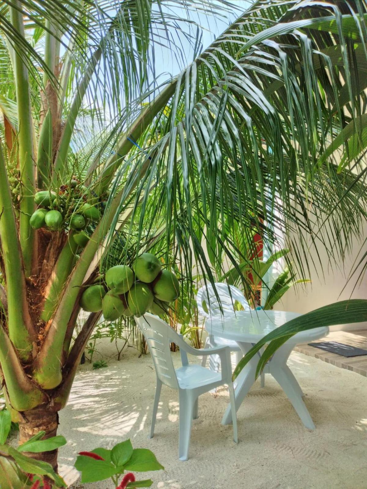 Sunrise Inn Тодду Экстерьер фото